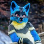 _FOX8500~3